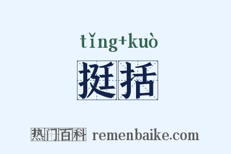 挺括是什么意思的图片